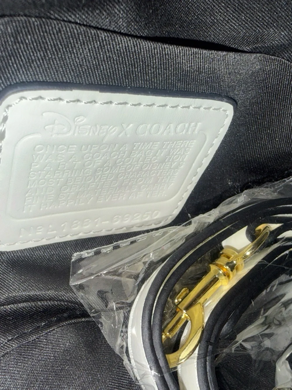 Coach disney collab